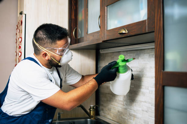 Best Residential Pest Control  in Winter Beach, FL