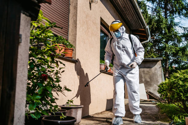 Best Local Pest Control Services  in Winter Beach, FL