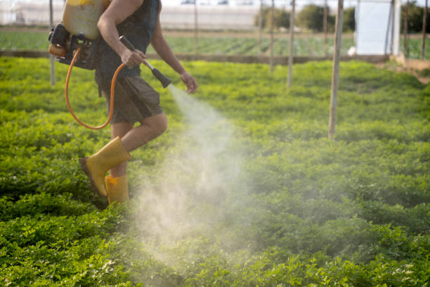 Best Affordable Pest Control Services  in Winter Beach, FL
