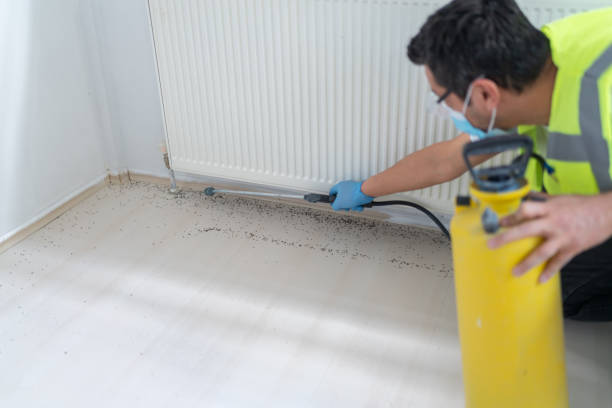 Best Wasp Removal Services  in Winter Beach, FL
