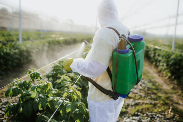 Best Commercial Pest Control Services  in Winter Beach, FL